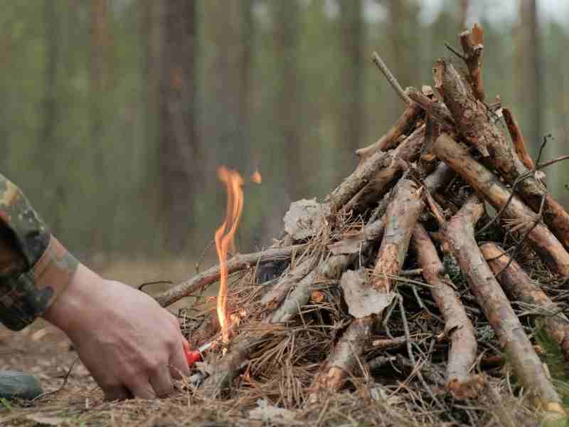 header image DIY campfire starters